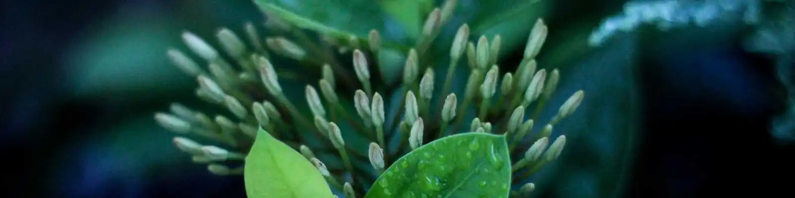 万达瘦身动作升级，首度赎回一座万达广场