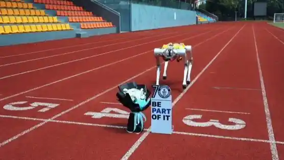 国内首款模块化四足机器人Apollo横空出世：从白犀吉尼斯纪录到科技新巅峰