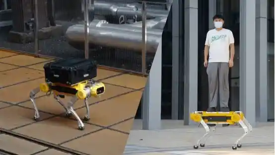 国内首款模块化四足机器人Apollo横空出世：从白犀吉尼斯纪录到科技新巅峰